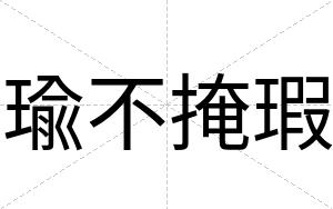 瑜不掩瑕 瑜不掩瑕