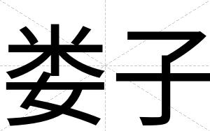 娄子