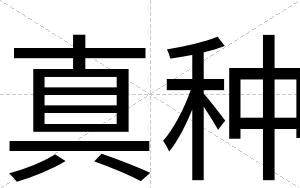 真种
