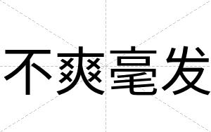 不爽毫发 不爽毫发
