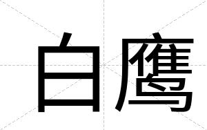白鹰 白鹰