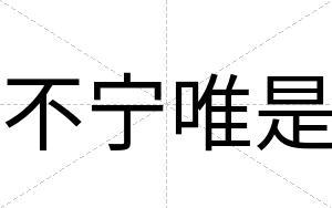 不宁唯是 不宁唯是