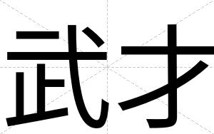 武才 武才