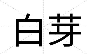 白芽 白芽