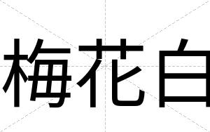 梅花白 梅花白