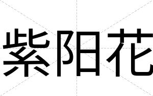 紫阳花
