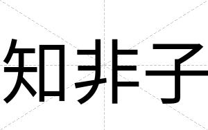 知非子