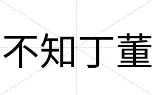 不知丁董 不知丁董