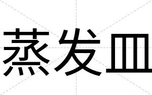 蒸发皿