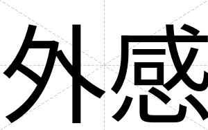 外感