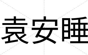 袁安睡 袁安睡