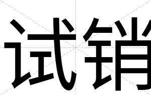 试销