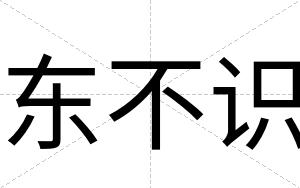 东不识 东不识