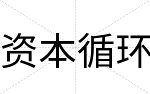 资本循环
