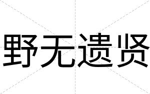 野无遗贤