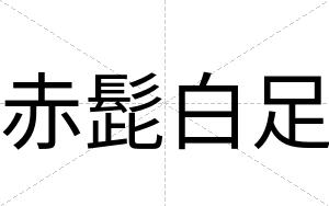 赤髭白足 赤髭白足