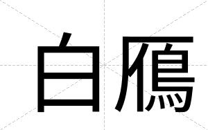 白鴈 白鴈