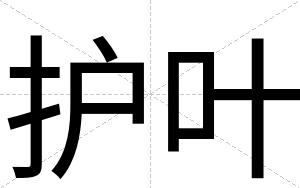 护叶