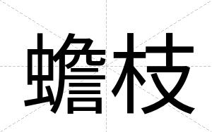 蟾枝