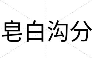 皂白沟分 皂白沟分