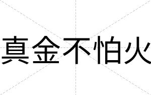 真金不怕火 真金不怕火