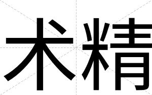 术精