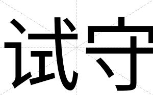 试守
