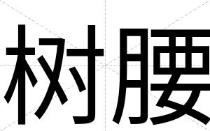 树腰