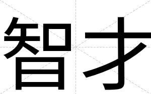 智才 智才
