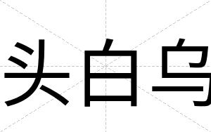 头白乌 头白乌