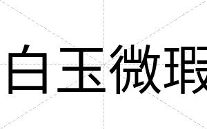白玉微瑕 白玉微瑕