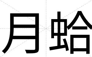 月蛤