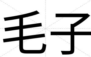 毛子