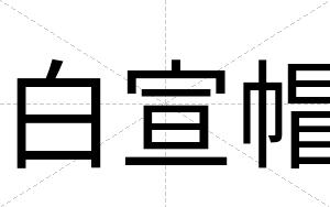白宣帽 白宣帽