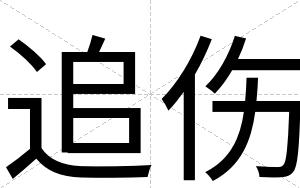 追伤