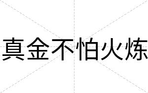 真金不怕火炼 真金不怕火炼