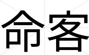 命客