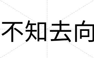 不知去向 不知去向