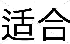 适合