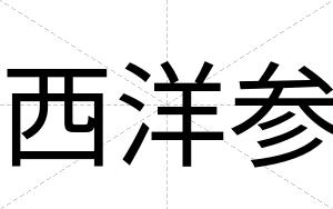 西洋参 西洋参