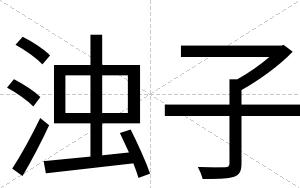 浊子