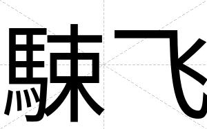 駷飞