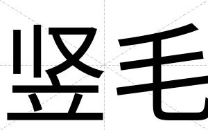 竖毛