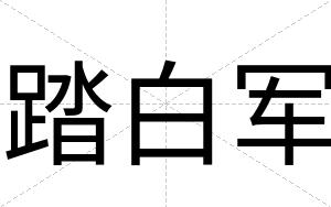 踏白军 踏白军