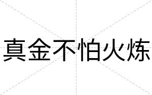 真金不怕火炼 真金不怕火炼