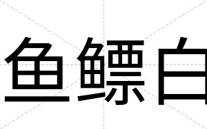 鱼鳔白 鱼鳔白