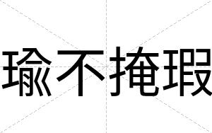 瑜不掩瑕 瑜不掩瑕