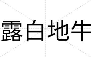 露白地牛 露白地牛
