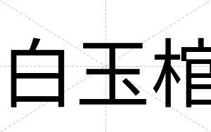 白玉棺 白玉棺