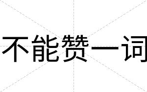 不能赞一词 不能赞一词